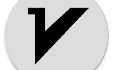 V2ray 命令行参数