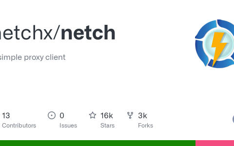 Netch 用户指南:Windows 使用 Netch 添加订阅链接