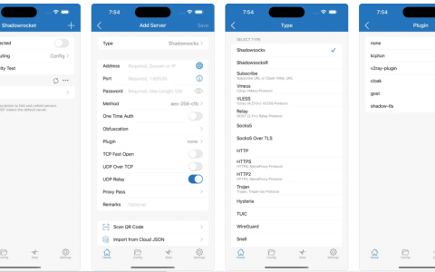 2025 苹果手机最新小火箭Shadowrocket下载和配置订阅URL教程